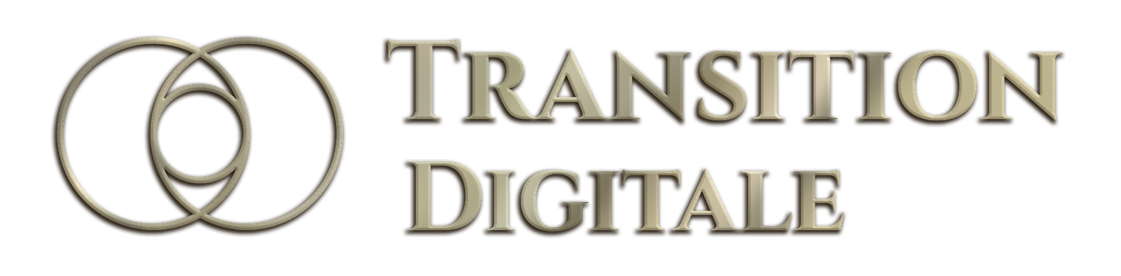 Logo Transition Digitale